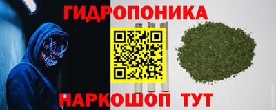 гидропоника Кинель