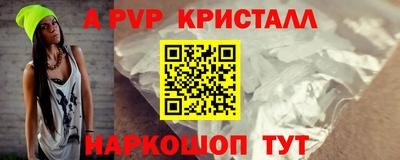 шишки Кингисепп